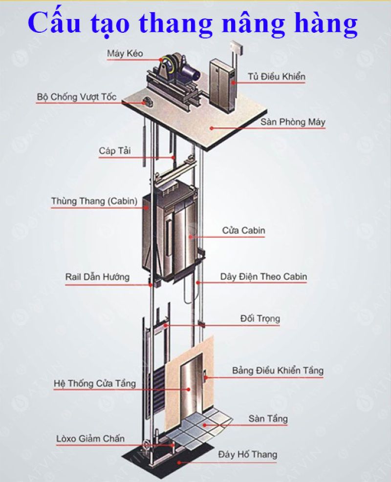 Báo Giá Thang Máy Tải Hàng 500kg Mới Nhất 2026